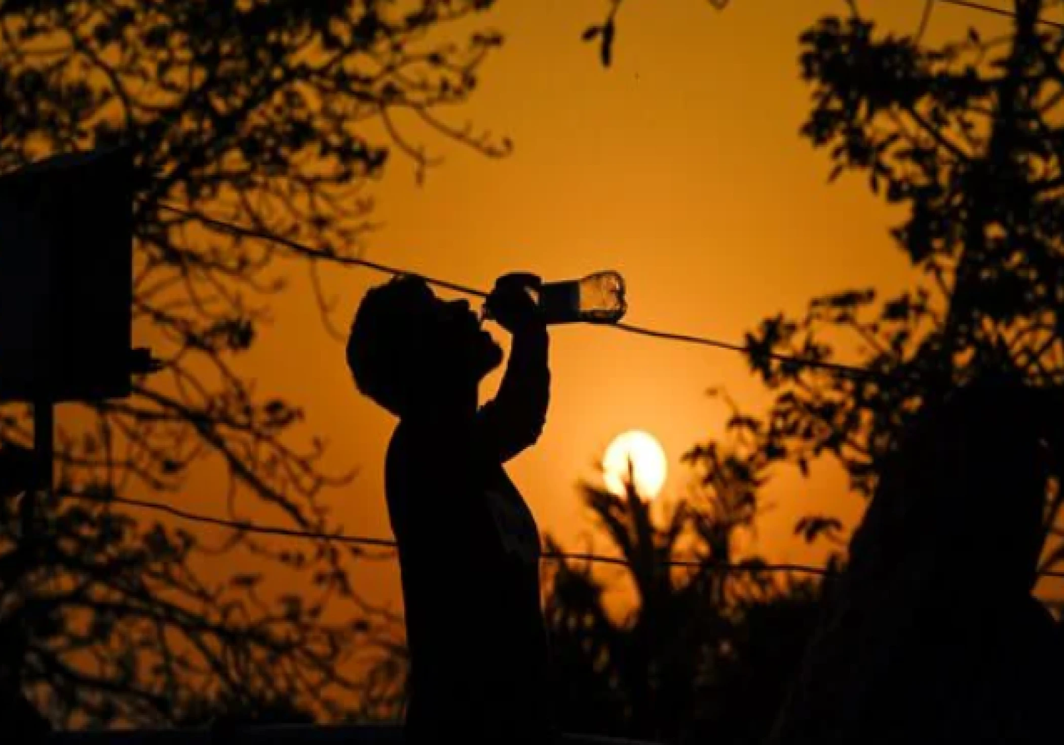 Severe Summer Grasps India: Nagpur Sizzles at 44.7°C, Delhi Warmer than Normal, Heatwave Increases in Rajasthan Severe Summer Grasps India: Nagpur Sizzles at 44.7°C, Delhi Warmer than Normal, Heatwave Increases in Rajasthan